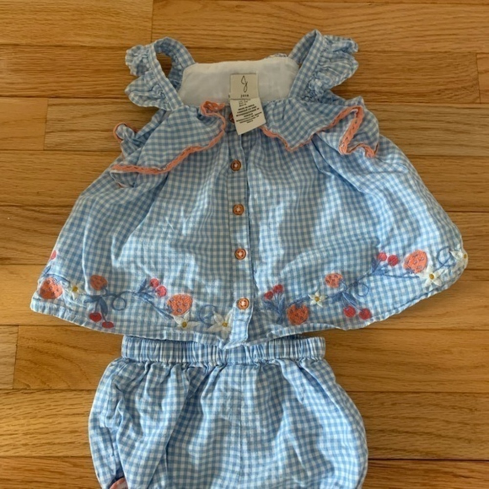 Joie Baby Sleeveless Dress 6-9 Months Blue White Peach Check Floral Embroidered